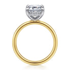 Gabriel & Co. 14k Two-Tone Gold 3.00ct Emerald Cut Diamond Hidden Halo Engagement Ring - side view